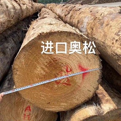 进口奥松原木 直径可满足木方定做需求